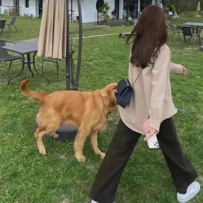 生化战警
